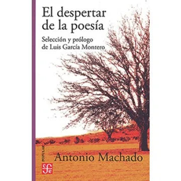 El despertar de la poesía - Antonio Machado