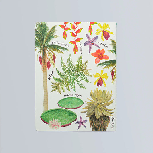 Cuaderno flora de Colombia - Bogotá chirriada