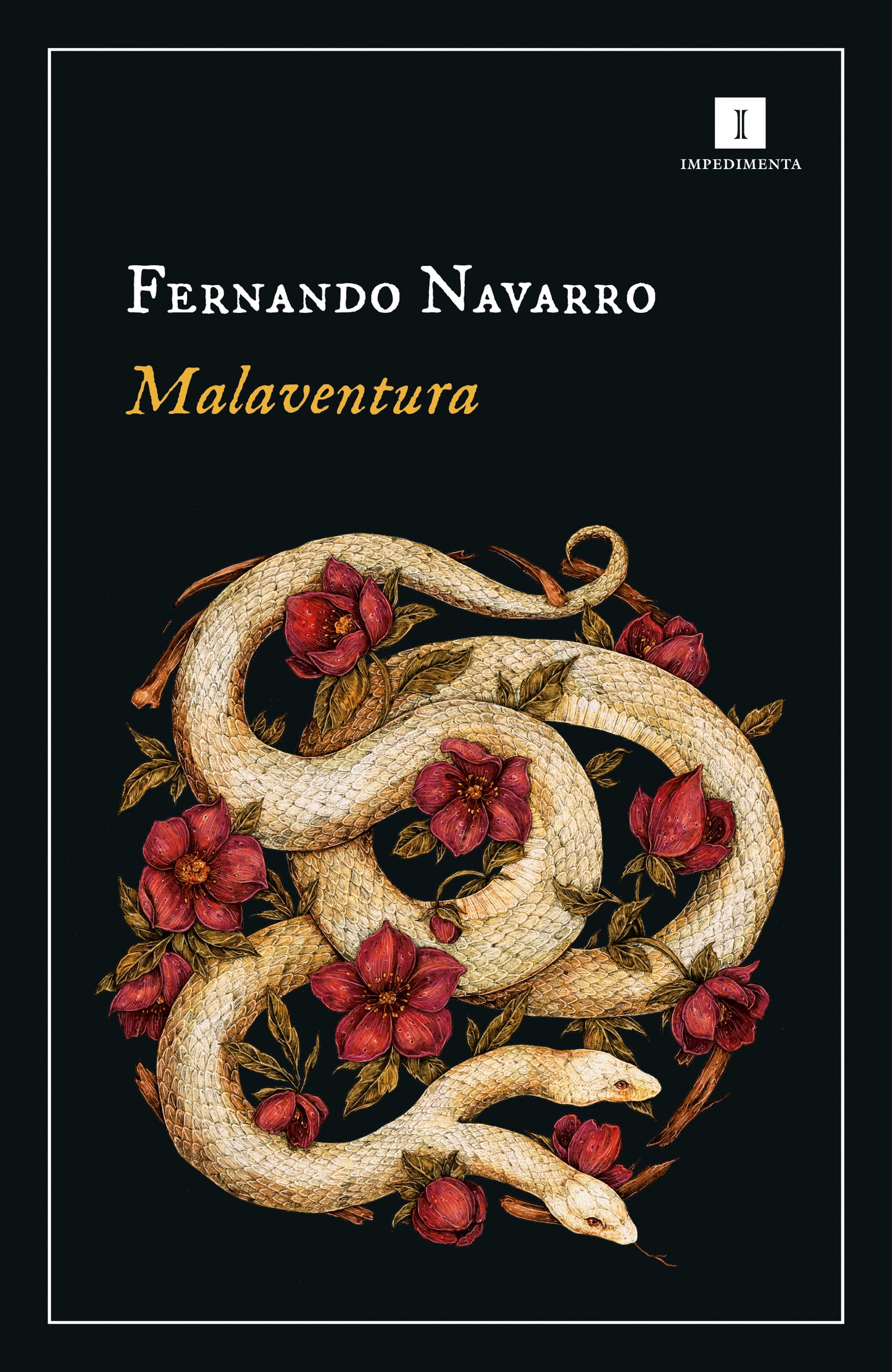 Malaventura - Fernando Navarro